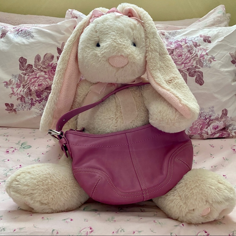 Pink Coach Mini Hobo Purse